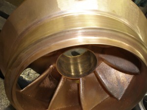 P7200020-1034